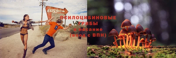 первитин Бутурлиновка