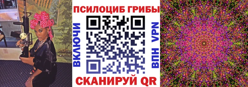 Псилоцибиновые грибы Psilocybe  наркотики  Зея 